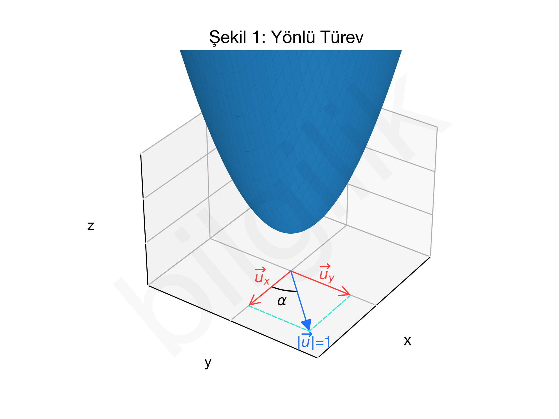 Yönlü_Türev_1
